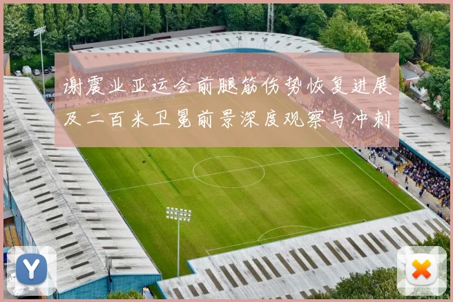 谢震业亚运会前腿筋伤势恢复进展及二百米卫冕前景深度观察与冲刺之路