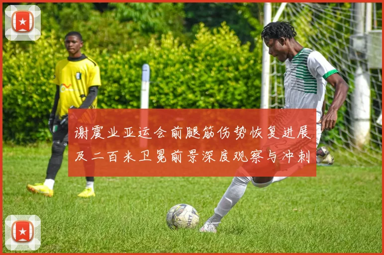 谢震业亚运会前腿筋伤势恢复进展及二百米卫冕前景深度观察与冲刺之路